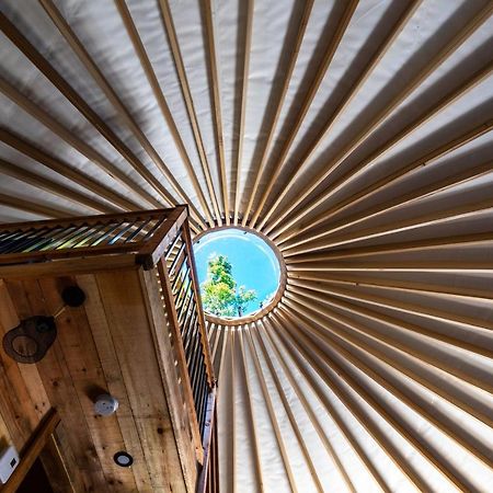 Yourtes Glamping Du Poisson Blanc Notre-Dame-du-Laus Luaran gambar